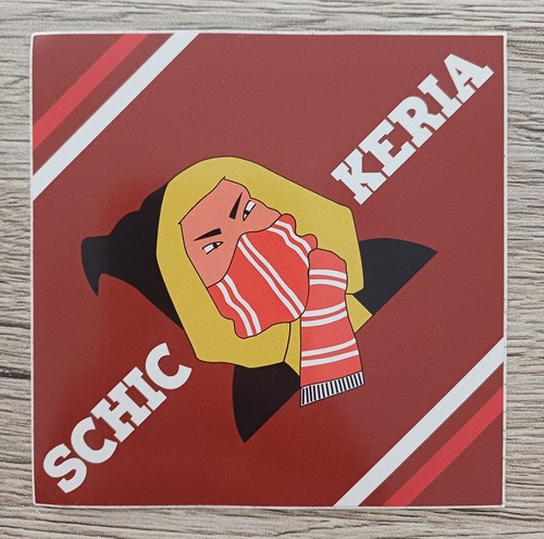 Schickeria südkurve münchen - schickeria,