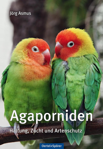 Agaporniden haltung zucht - |,