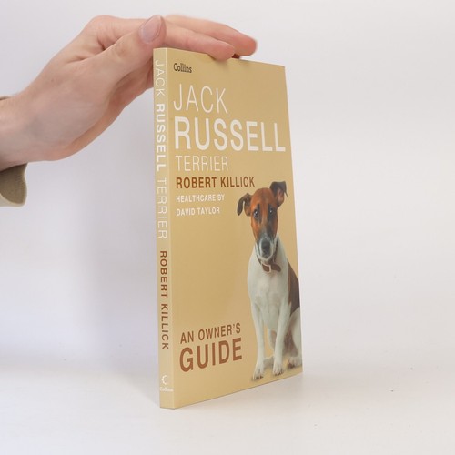 Jack russell terrier an - russell,
