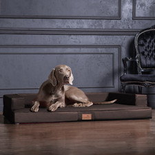 tierlando® Orthopädisches Design Hundesofa GIBSON VISCO Kunstleder kubische Form