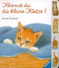 Kennst du die kleine Katze? von Amrei Fechner | Buch | Zustand gut