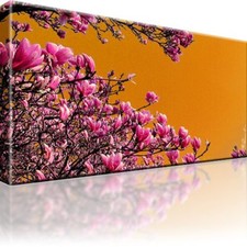 Magnolien Blumen Bild Bilder Leinwand Keilrahmen Wandbild Kunstdruck
