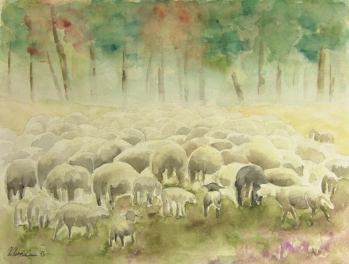 5118 signiertes aquarell - signiertes,