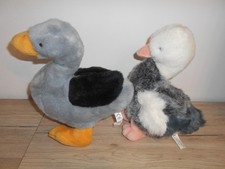 Graugans / Gans + Ente - je