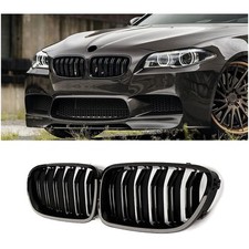 F10 Nieren, F11 Nieren