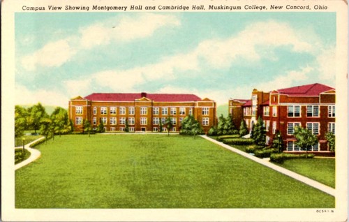 New concord postcard - new,
