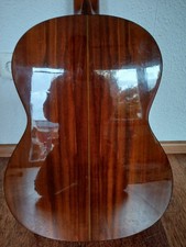 Terrada TG-307 Gitarre