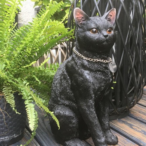 40cm katze hund schwarz - katze,