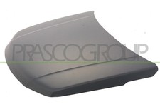 Motorhaube für Suzuki - Grand