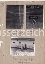 6 Original Fotos Militär 1956 Hundestaffel Übungen ca. 11,5 x 8 cm (AN524)