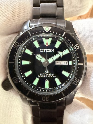 Citizen promaster black fugu - promaster,
