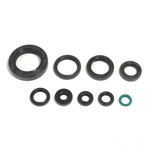 Dichsatz motordichtringe motor - dichsatz,