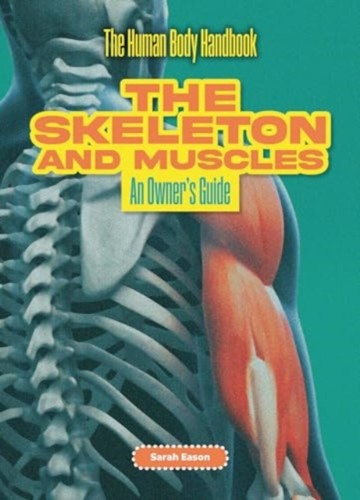 Skeleton muscles by eason - &,