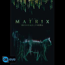Poster 91,5 x 61 cm The Matrix