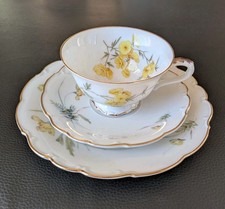 Hutschenreuther Selb Sammeltasse Sammelgedeck Gold Blumen Grün Gelb Blau Kaffee