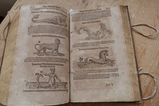 Rarität 1601 Artzney Spiegel