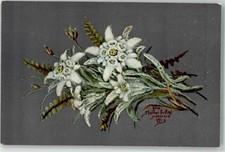 10646368 - Innsbruck Tiroler Blumentag Edelweiss sign. Stainer Innsbruck-Stadt