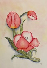 Tulpen original Aquarell