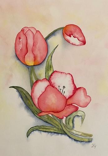 Tulpen original aquarell - original,