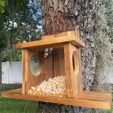 Eichhörnchen Futterhaus