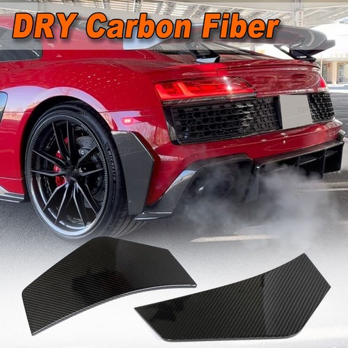 Dry carbon hinten flossen - dry,