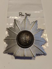Polizei Tschako Stern