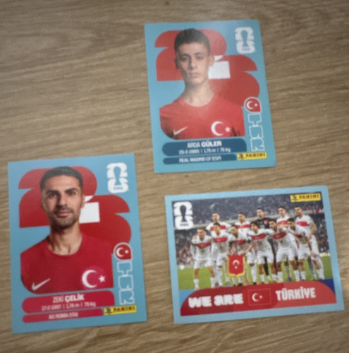 Panini fifa world - fifa, cup