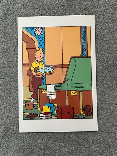Tintin tim und struppi - tim,