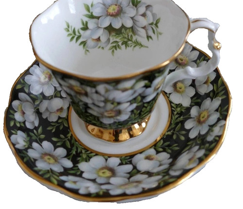 Royal albert provincial - albert,