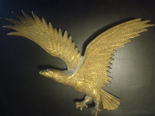 Großer wandadler adler aus - adler,