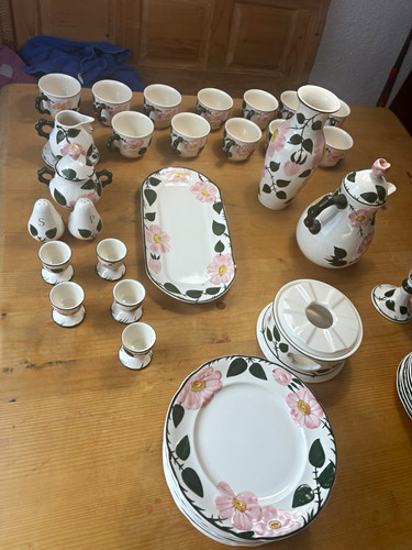 Wild rose villeroy boch - wild,