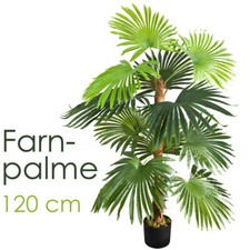 Kunstpflanze palme palmfarn - palme,