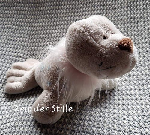 Nici seehund robbe - nici,