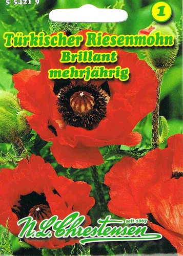 Türkischer riesenmohn - türkischer,