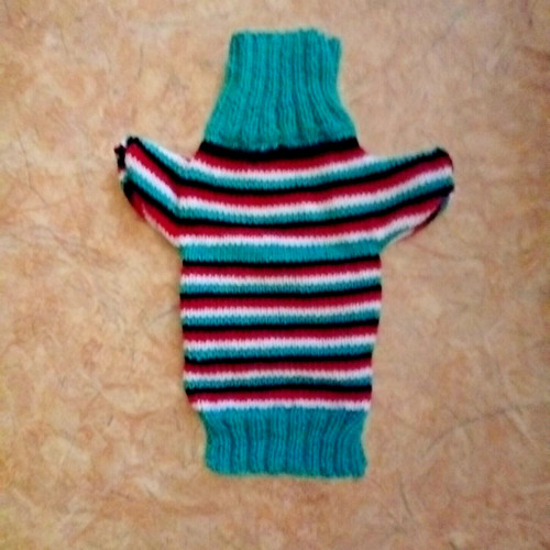 Hunde pulli - hunde,