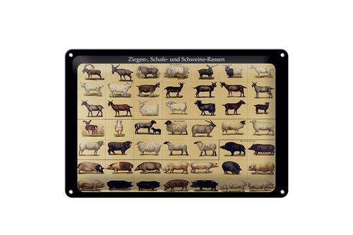 Blechschild tiere 20x30 - tiere, cm