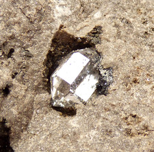 Herkimer Diamantschwimmer Kristall in Matrix NY USA Mineralprobe 7 cm Xtl 13 mm