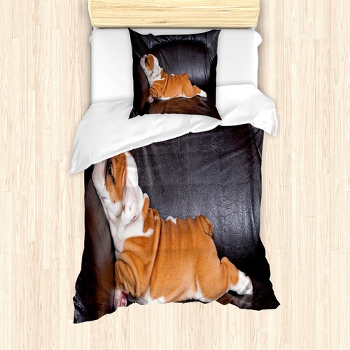 Englische bulldogge - englische,