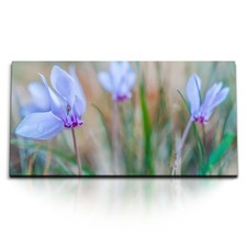 120x80cm kunstdruck bilder - kunstdruck,