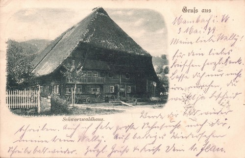 Schwarzwald - ak,