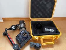 Unterwasserkamera Tauchen