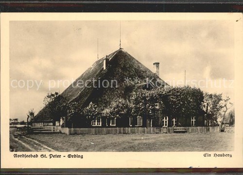 Peter ording hauberg - st,