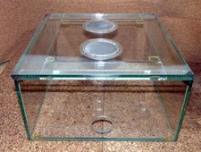 Ameisen ANTSTORE - ARENA CENTER Terrarium - 20x20x10 cm - je mit Glas-Abdeckung