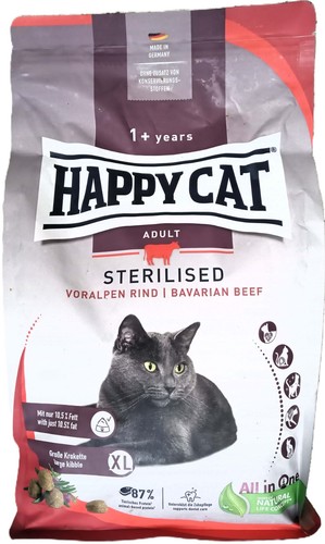 Happy cat adult - happy,