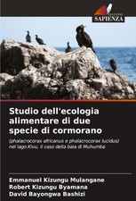 Emmanuel Kizungu Mulangane (u