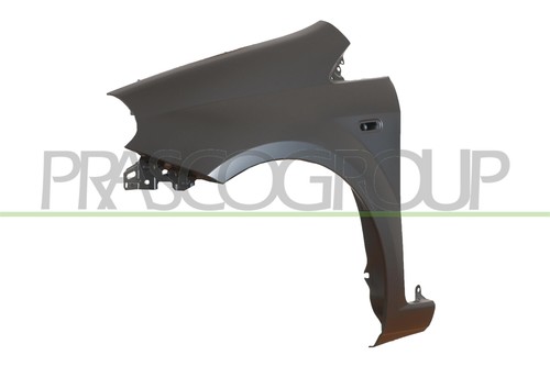 Kotflügel vorne links - kotflügel, für