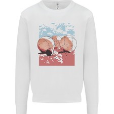 Petanque Kugeln Boules Bowls