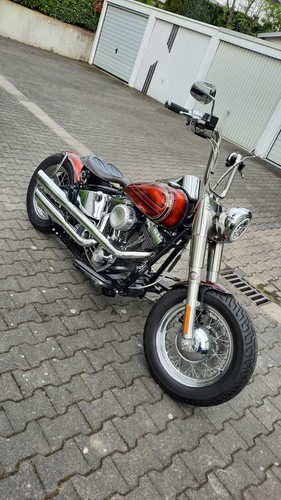 Harley davidson softail - davidson,