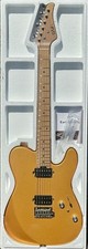 Eart Elektro Gitarre TL-380 Vollmassiv Humbucker Pickups Double Coil Gold Metall