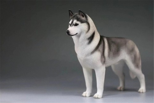 Hundefigur modell siberian - modell,